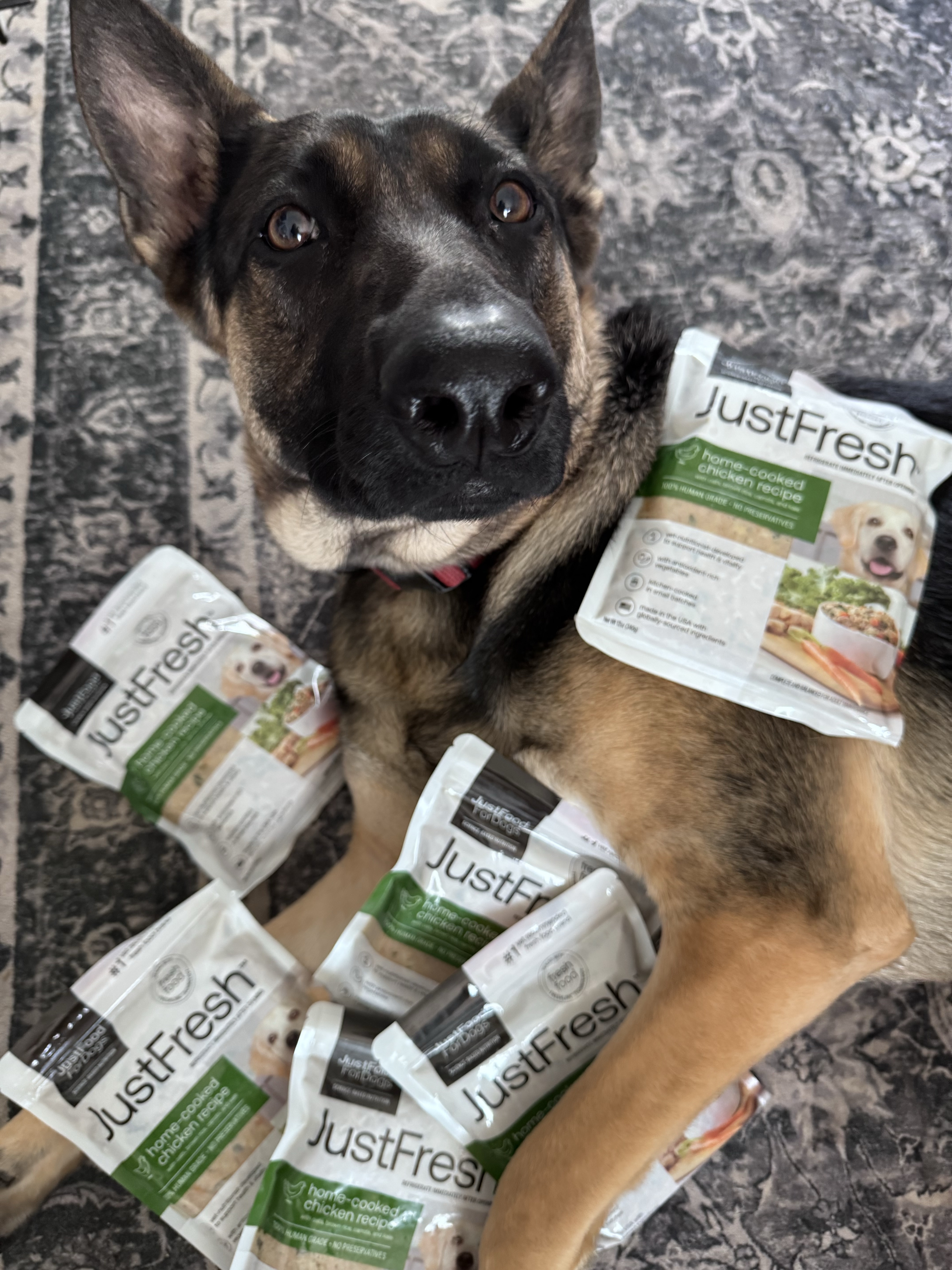Just Food For Dogs Facebook ad