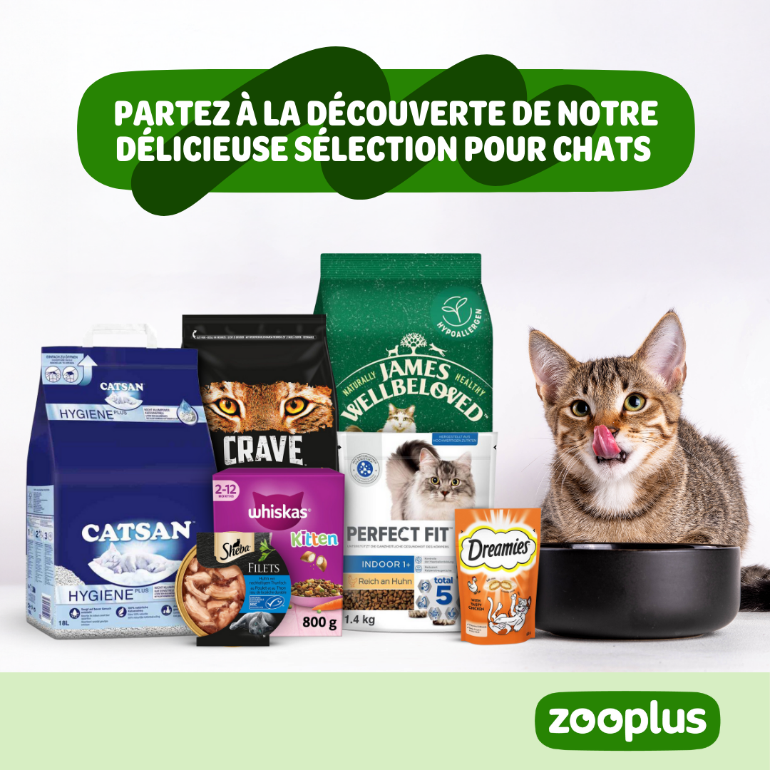 zooplus Facebook ad