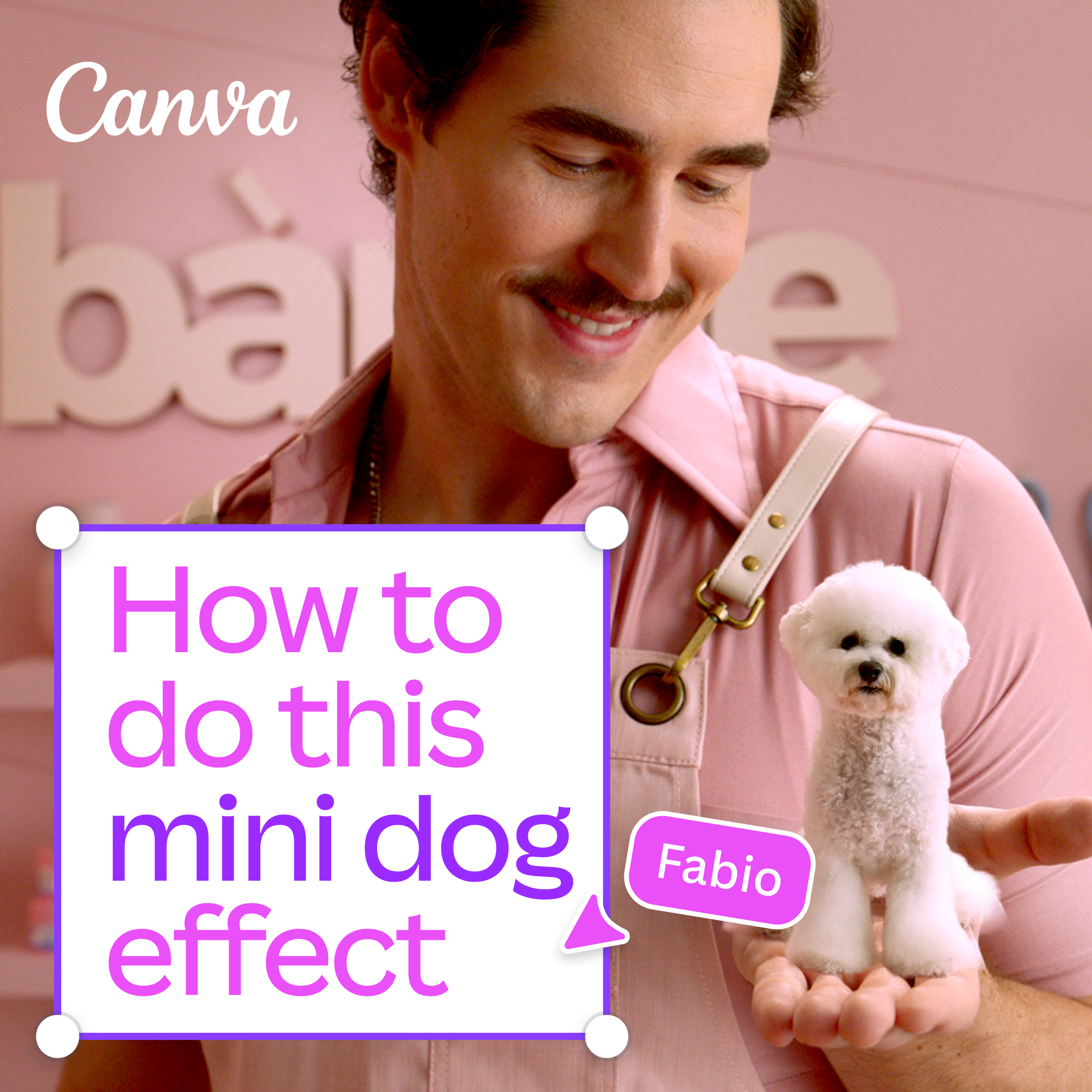 Canva Facebook ad