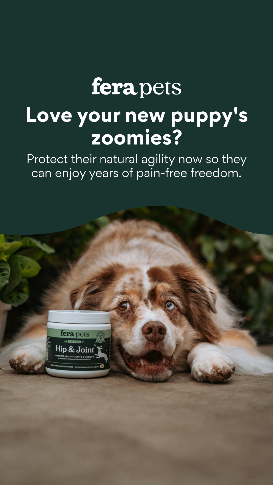 Fera Pets Facebook ad