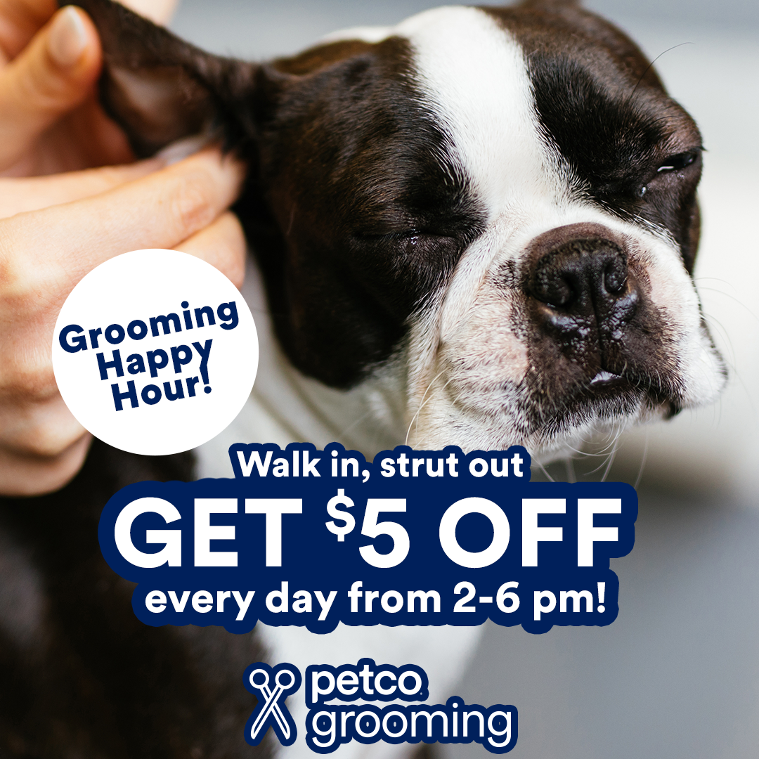 Petco Facebook ad