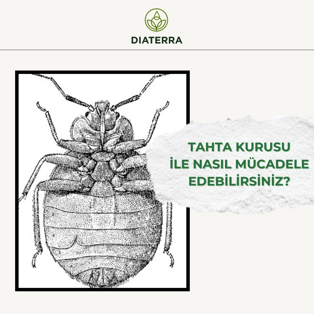 Diaterra Facebook ad: Kolay uygulanabilen ve insan sağlığına yönelik tehdit…