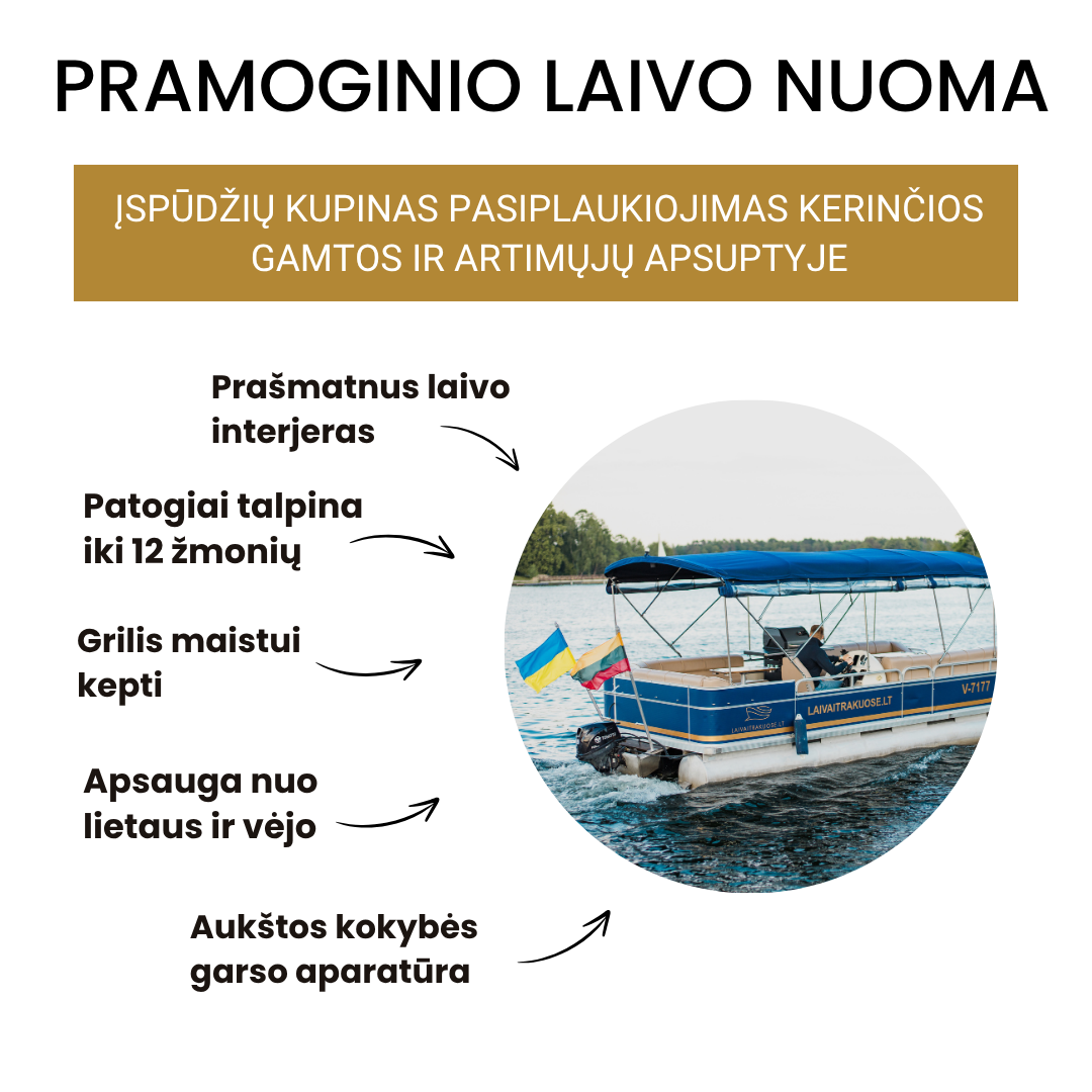 Laivai Trakuose Facebook ad