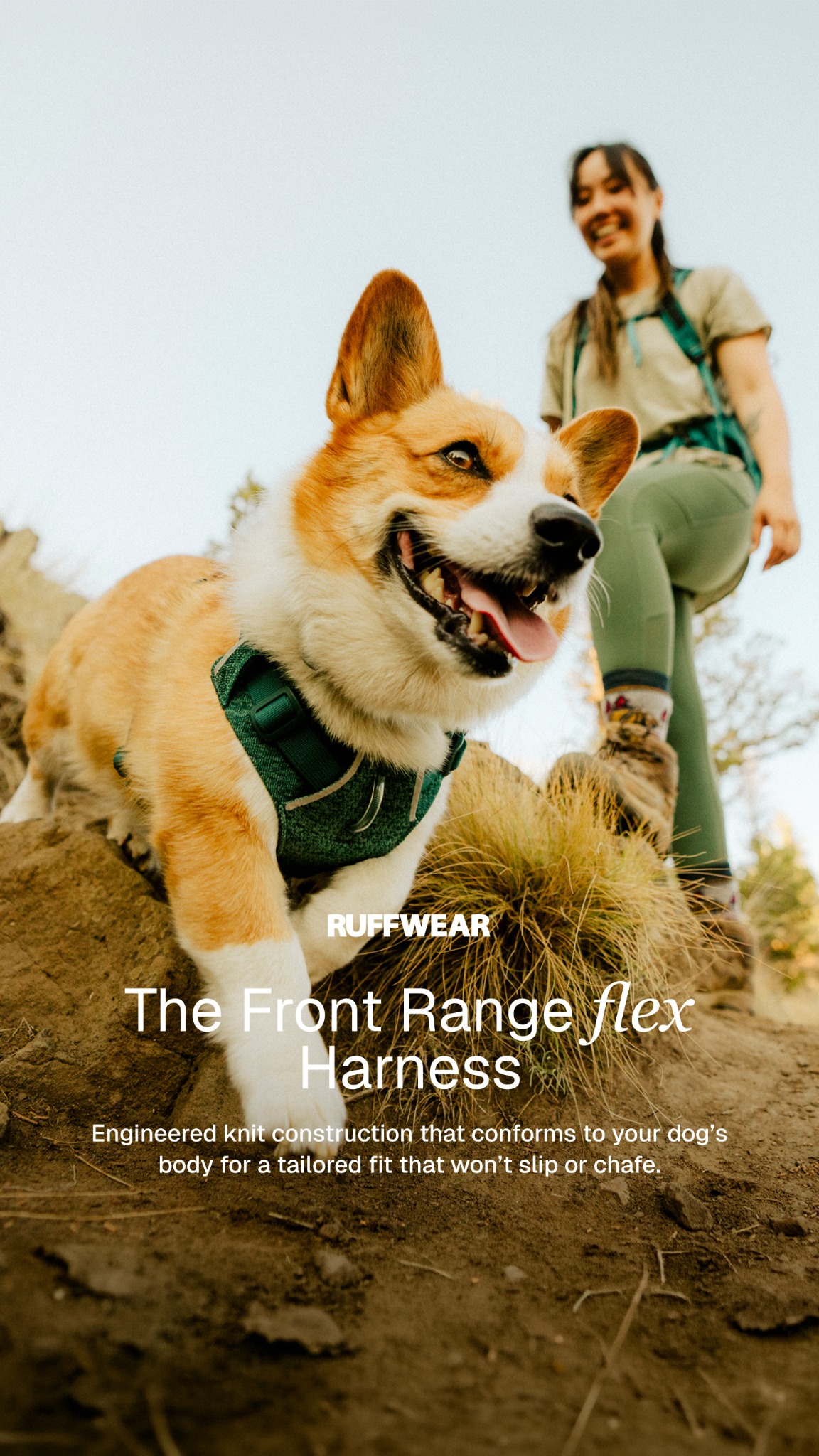 Ruffwear Facebook ad