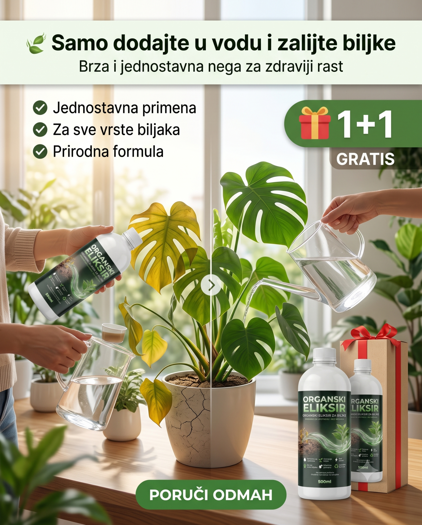 Sljokica Facebook ad: Ne kupujte novo cveće, spasite staro! (1+1 GRATIS)