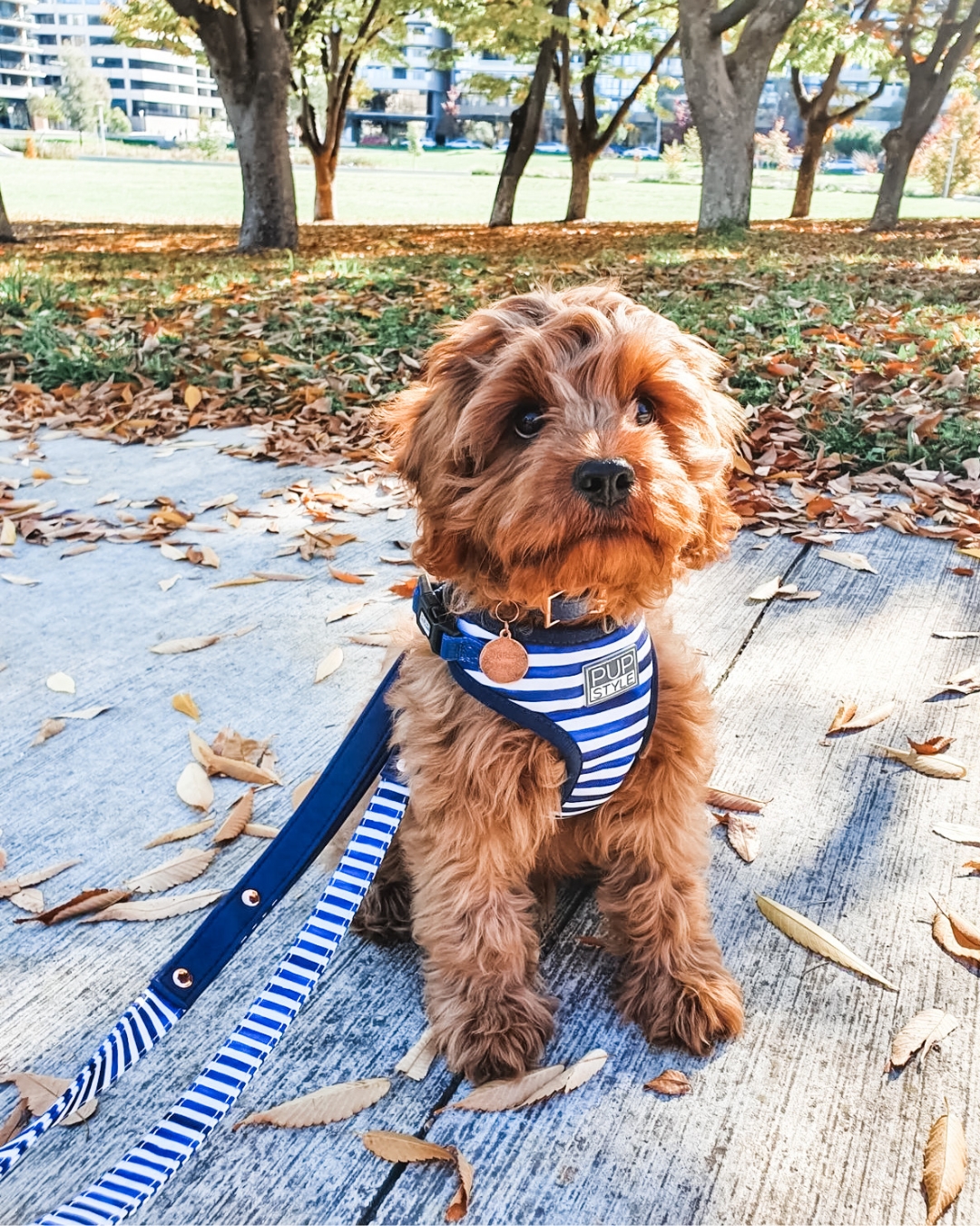 PUPSTYLE Store Facebook ad