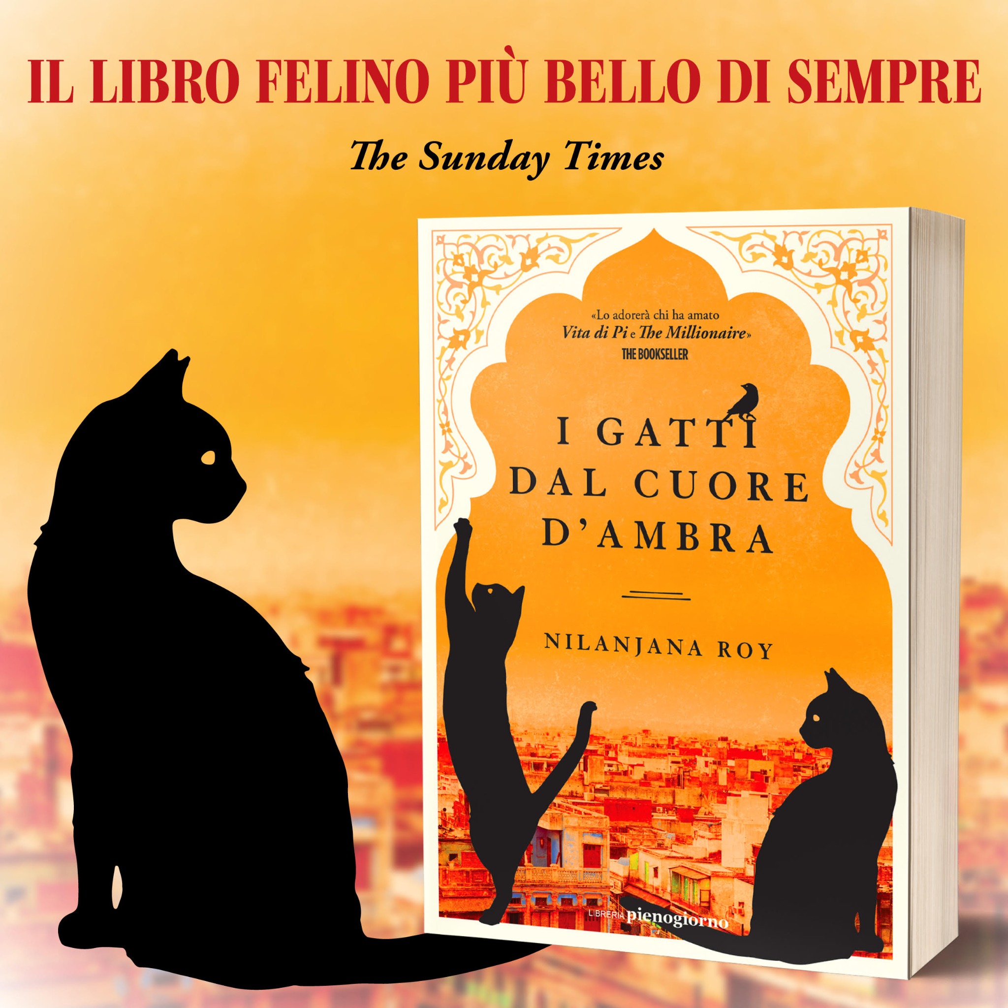 I gatti dal cuore d’ambra - Il libro Facebook ad