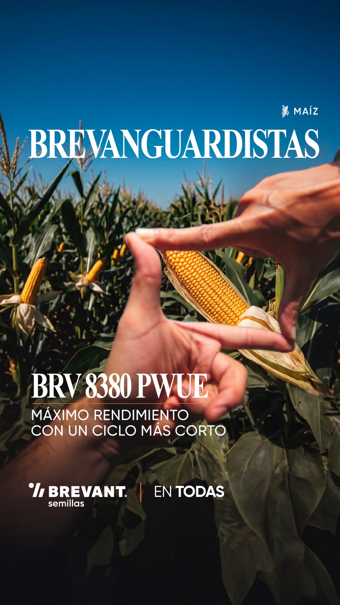 Brevant Semillas Facebook ad from Jun 30, 2026