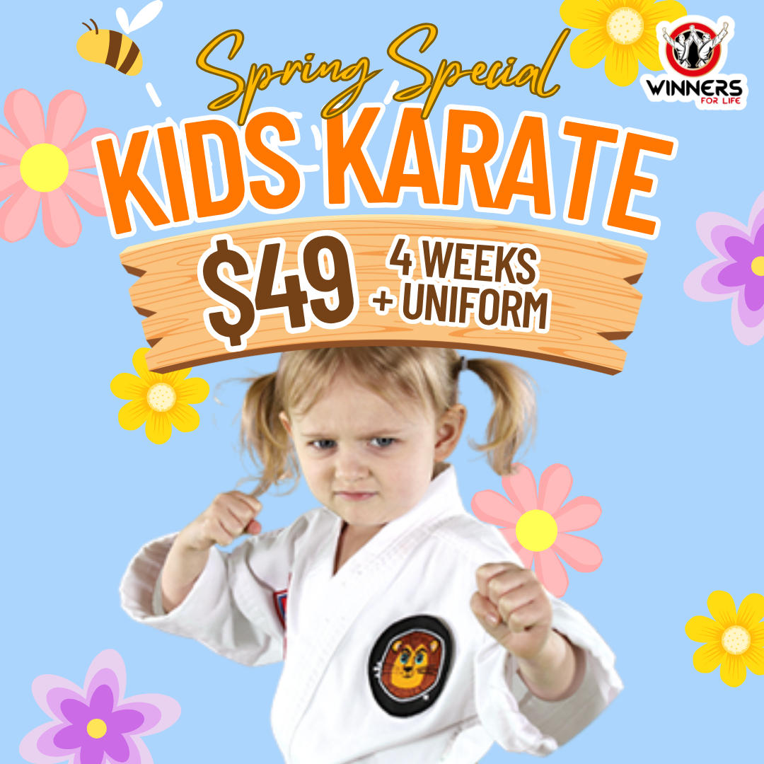 Winners for Life Martial Arts Harrisburg  Facebook ad
