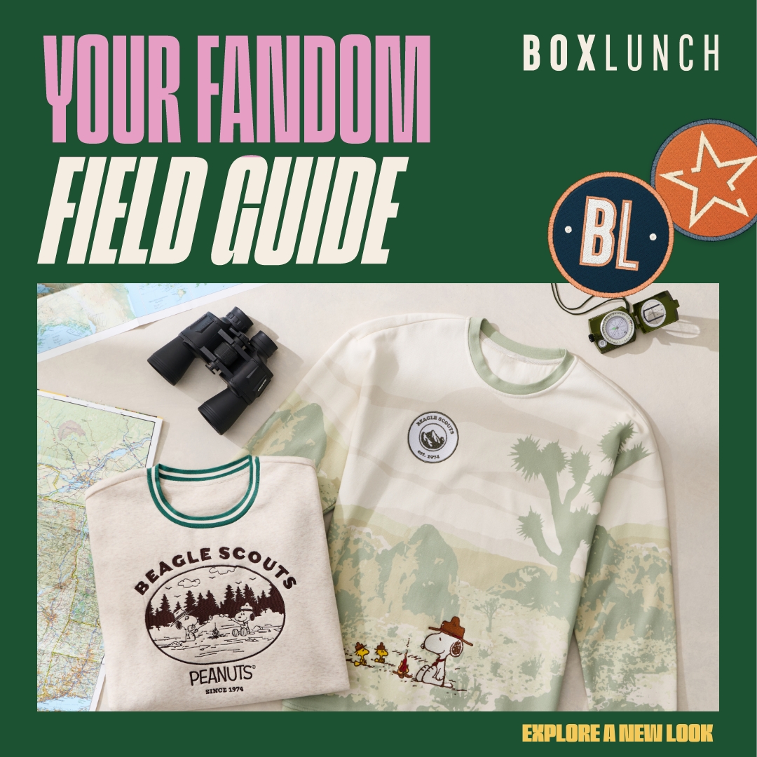 BoxLunch Facebook ad