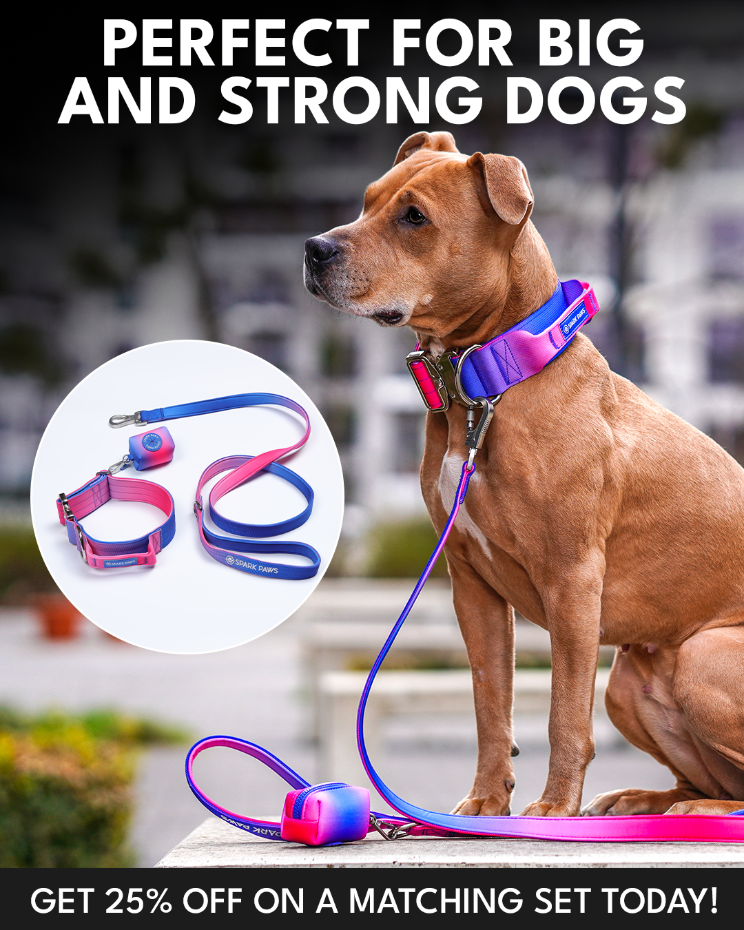 Spark Paws Facebook ad