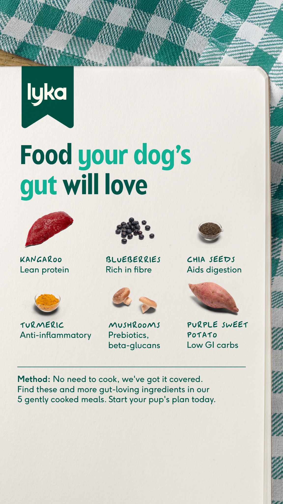 Lyka Pet Food Facebook ad