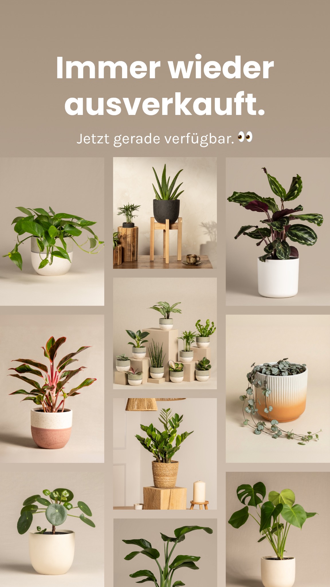 feey.pflanzen Facebook ad