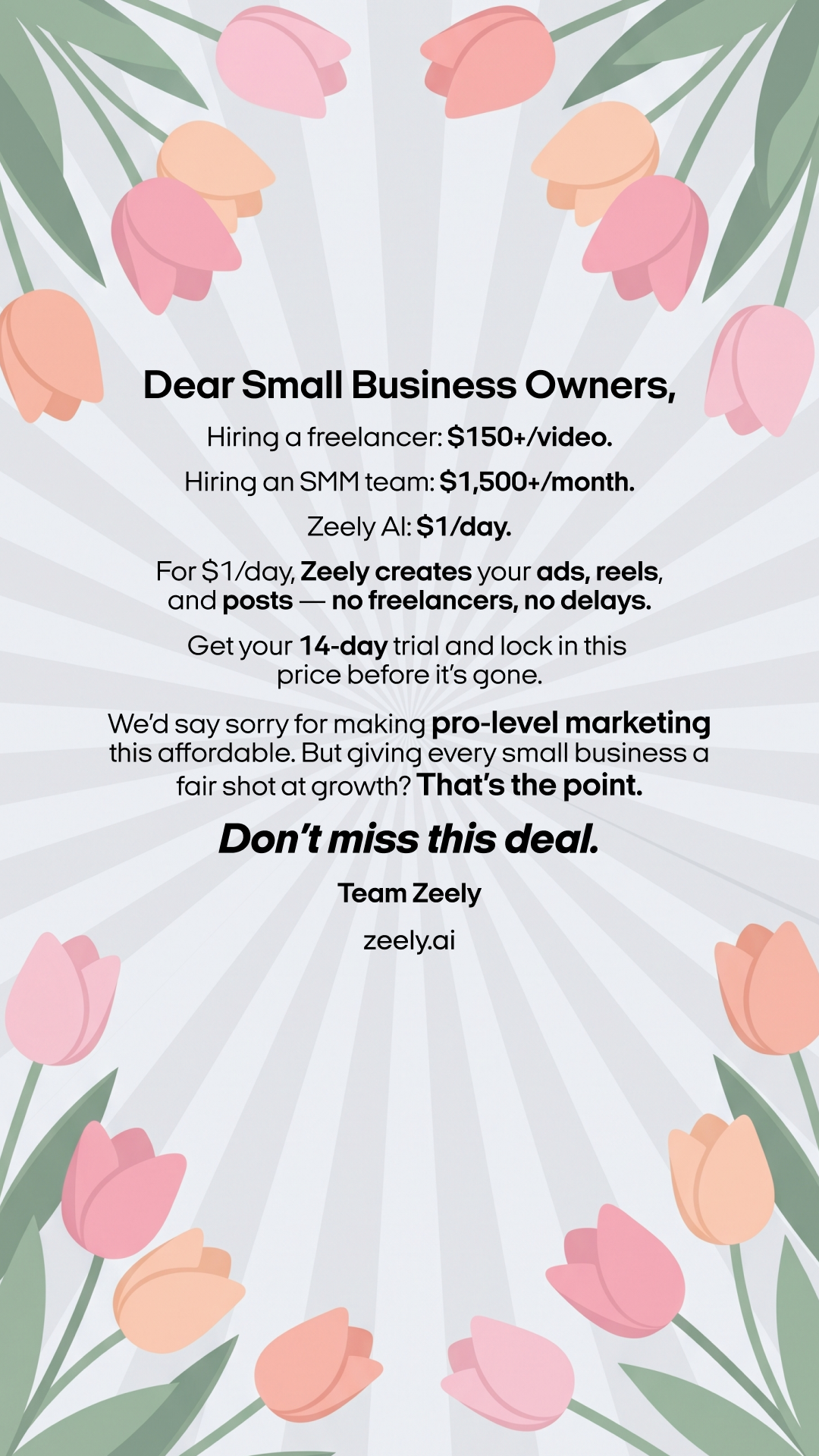 Zeely Facebook ad