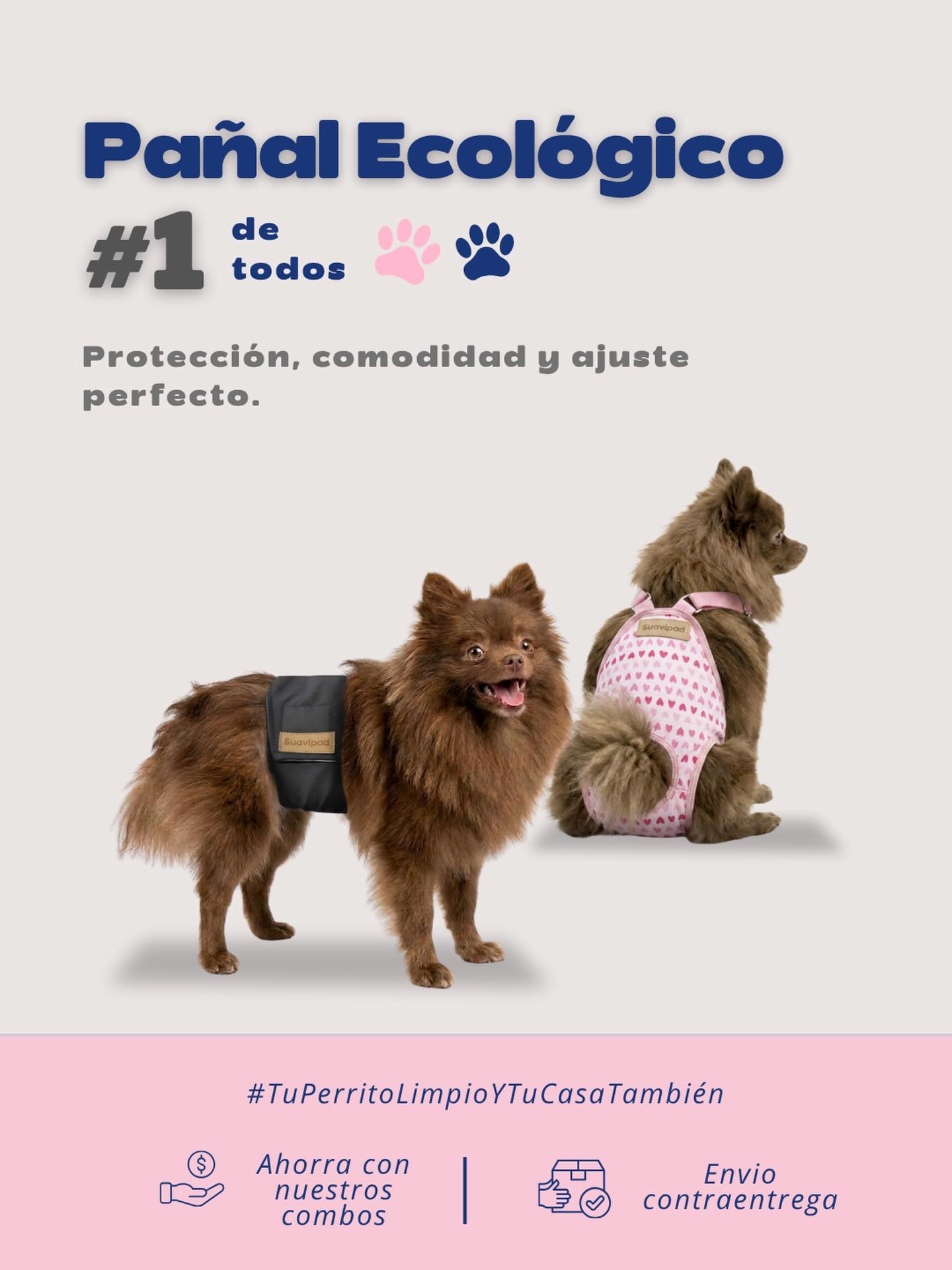 Suavipad Facebook ad: Pañales Reutilizables y Lavables para Perros Suavipad |…