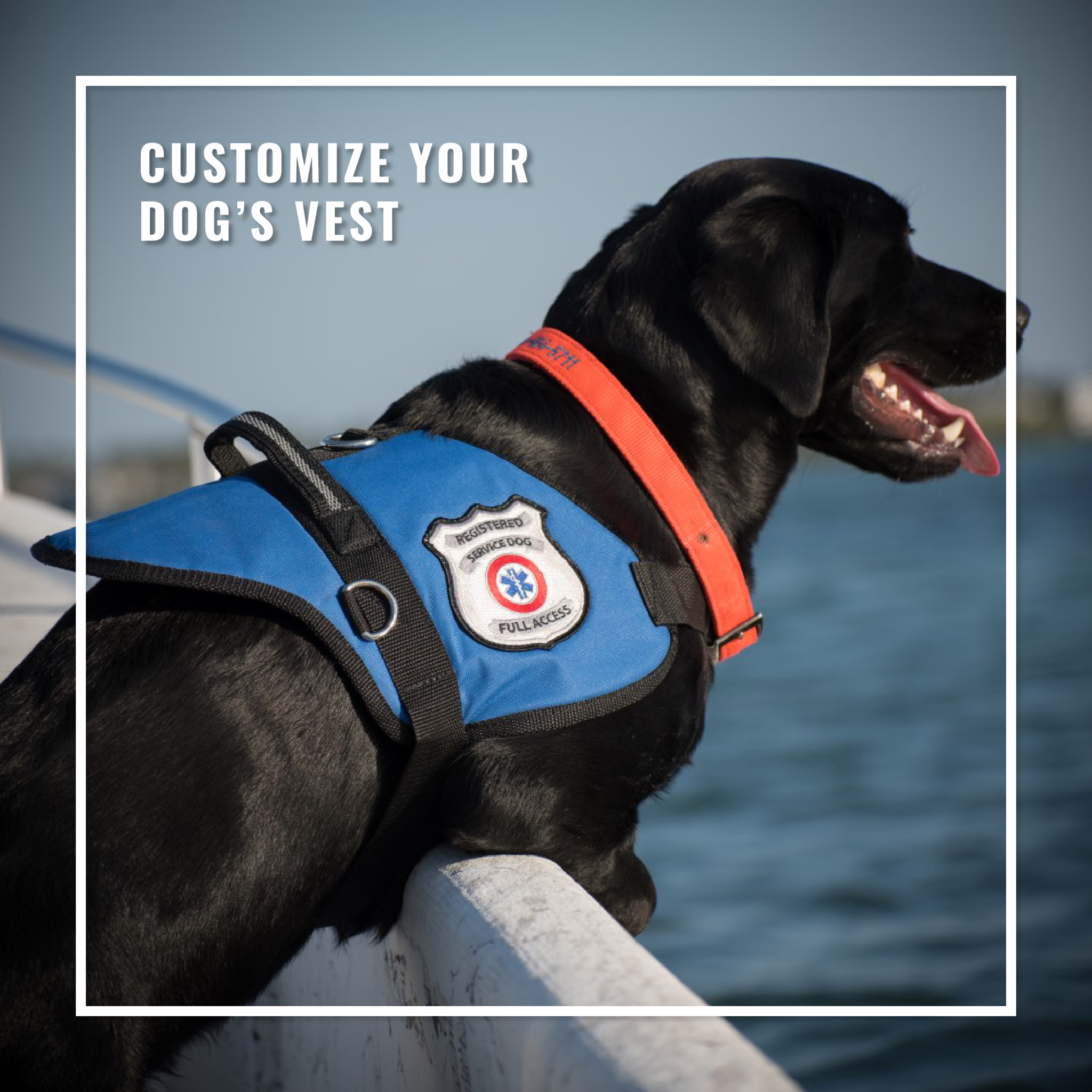 WorkingServiceDog.com Service Dog Vests and Supplies Facebook ad