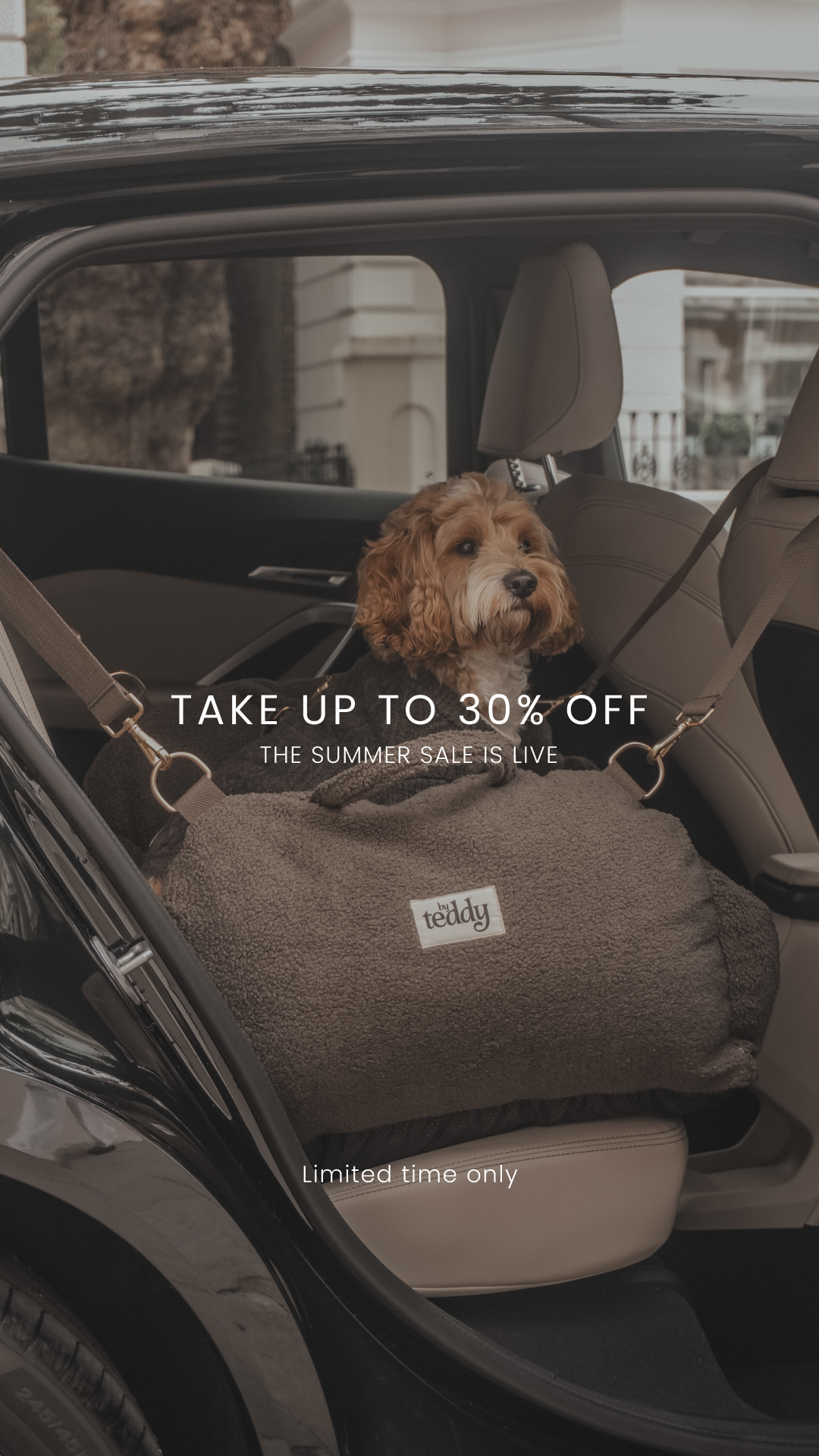 By Teddy Facebook ad