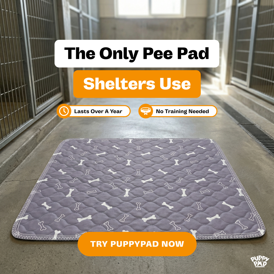 PuppyPad Facebook ad
