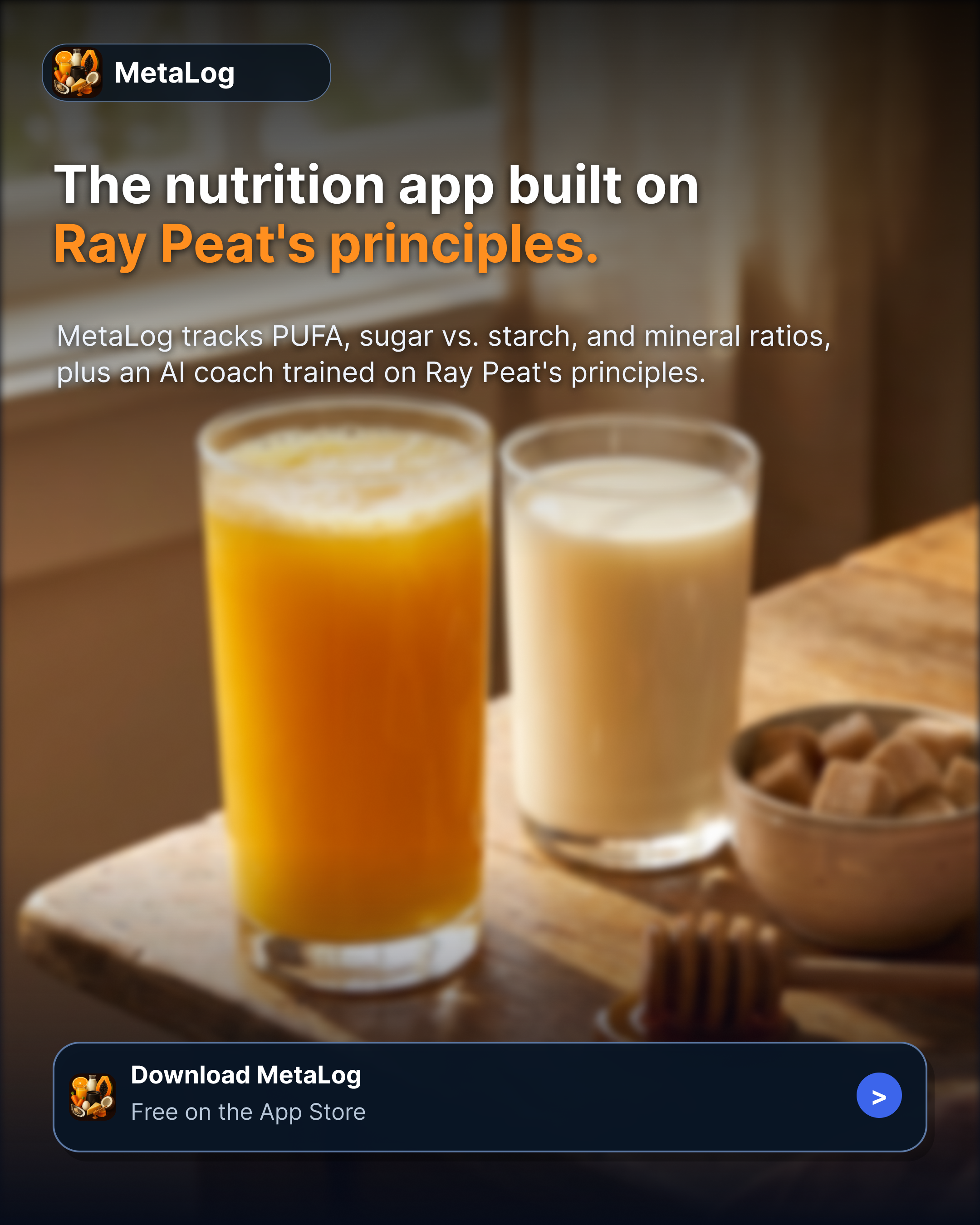 MetaLog: Pro Metabolic Tracker Facebook ad