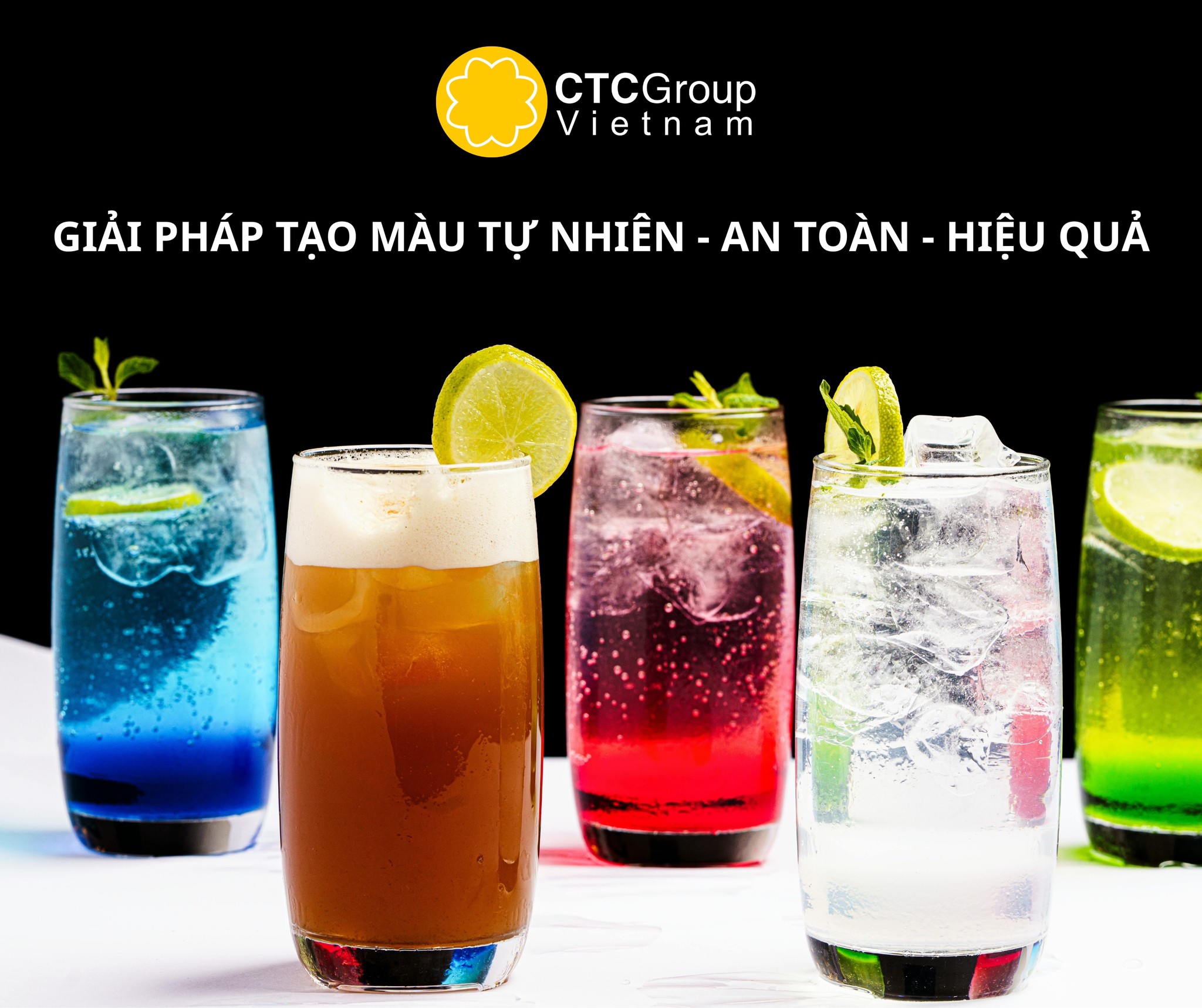 CTC Group Việt Nam Facebook ad