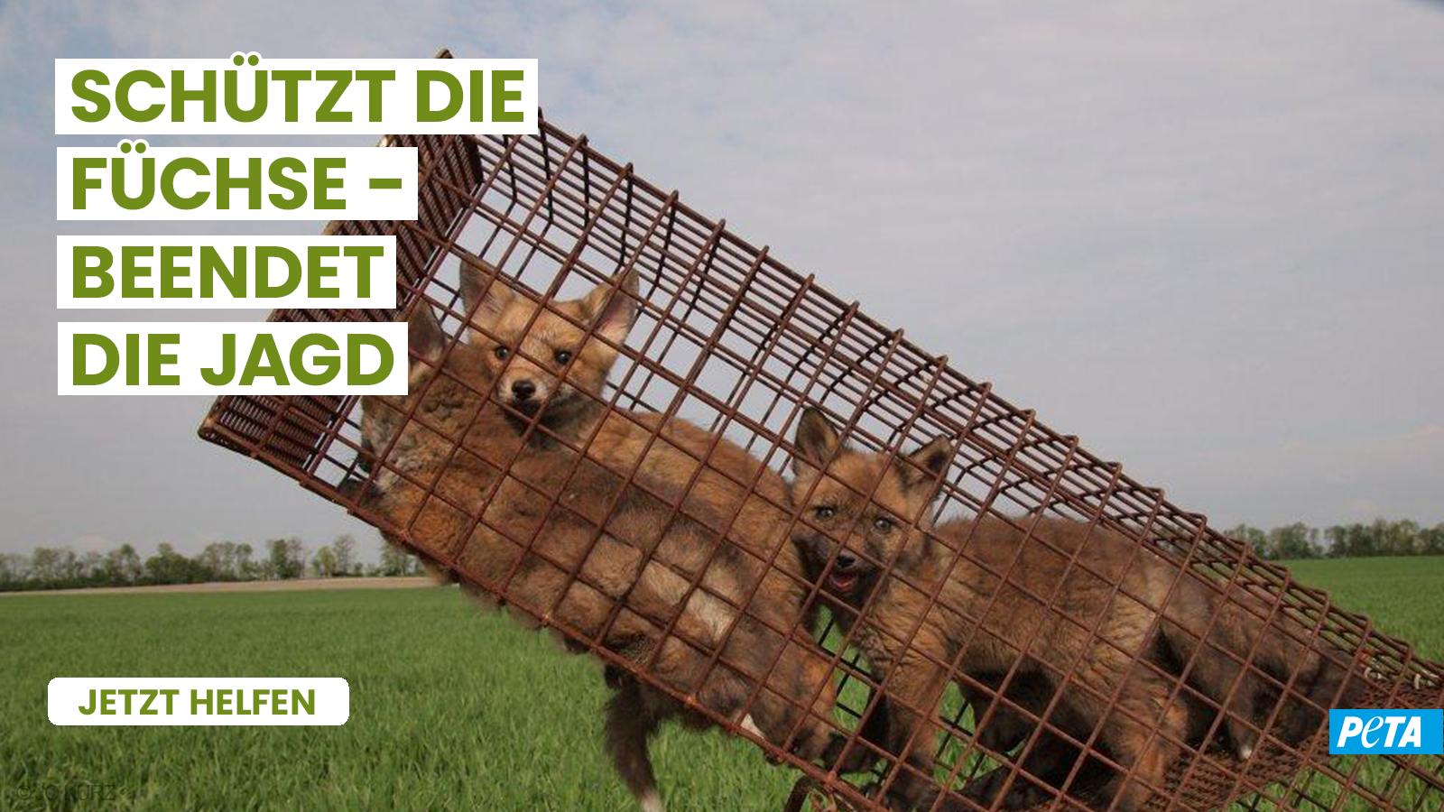 PETA Deutschland Facebook ad from Jan 23, 2026