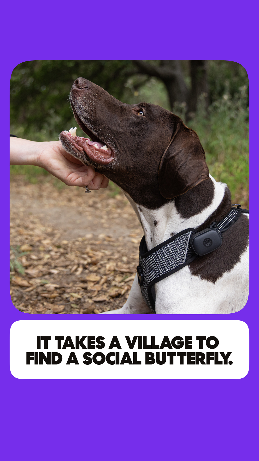 Life360 Facebook ad