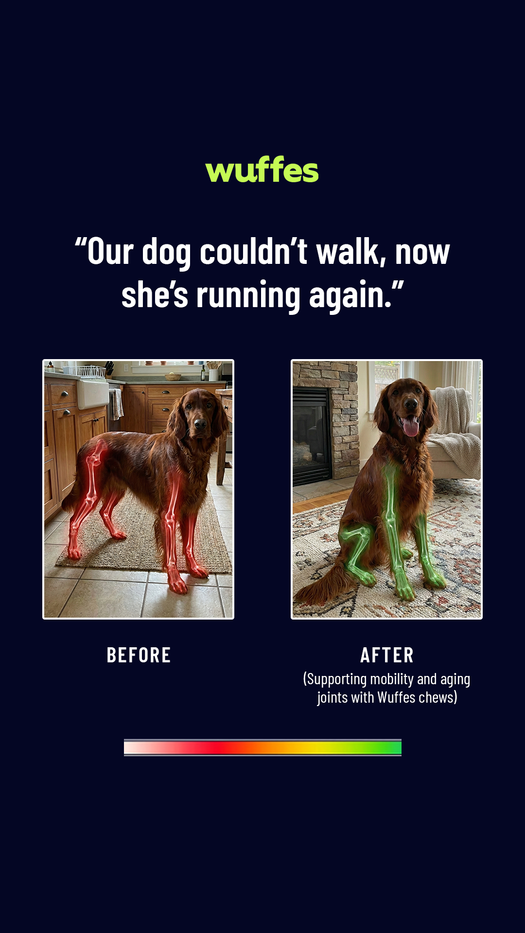 Everyday Pet Health Facebook ad