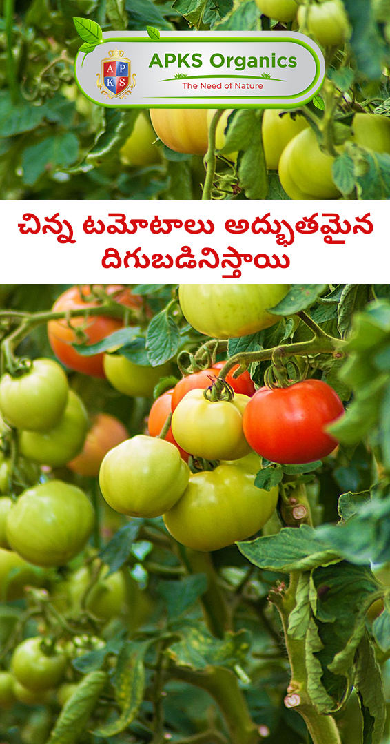 APKS Organics Tamil Facebook ad