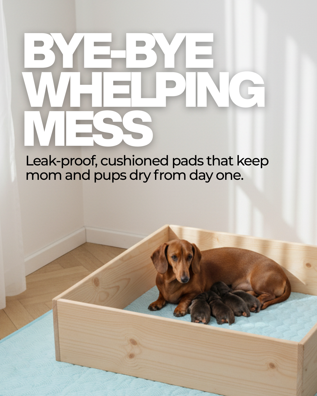 Potty Buddy Facebook ad