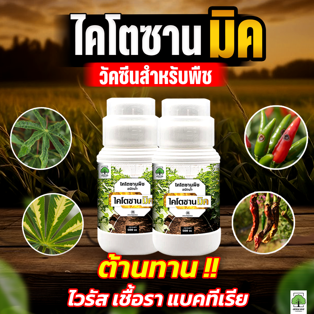 ไคโตซานมิค สูตรพรีเมี่ยม เพิ่มภูมิต้านทาน Facebook ad