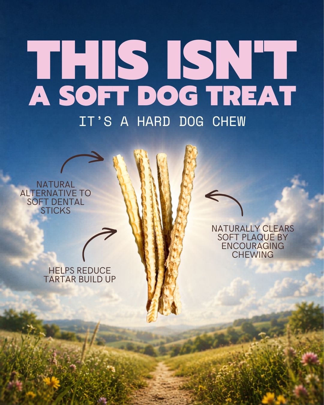 Ferguson's Treatos Facebook ad
