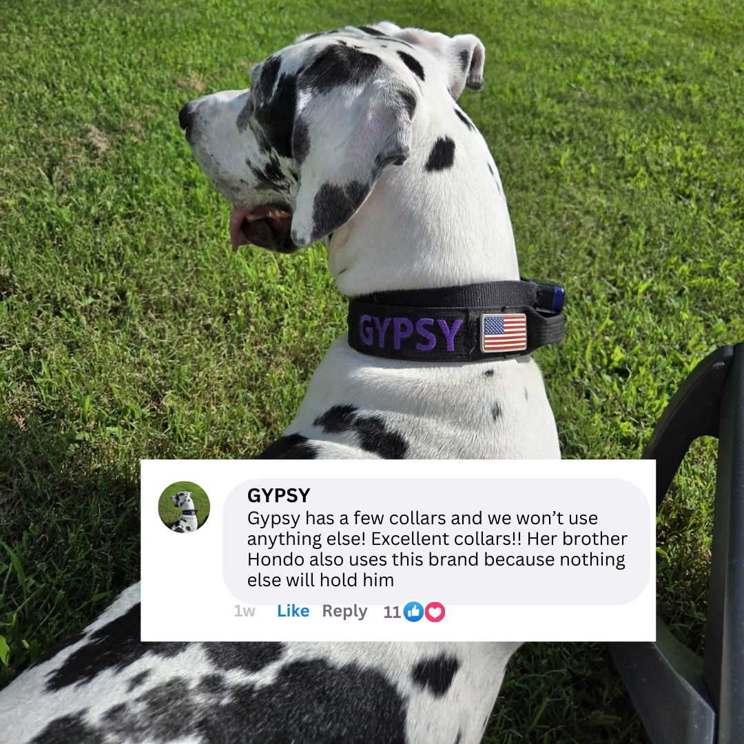 Tactipup Facebook ad