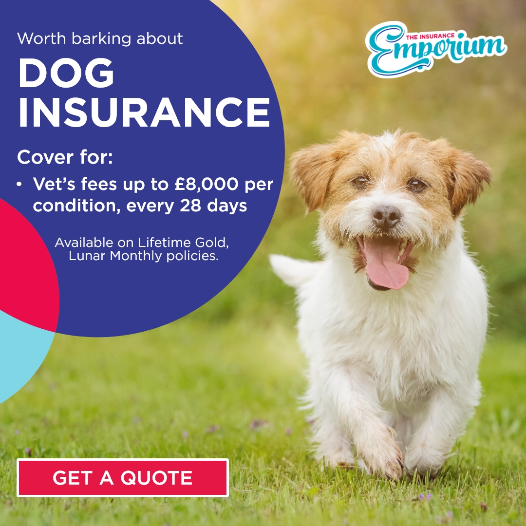 The Insurance Emporium Facebook ad