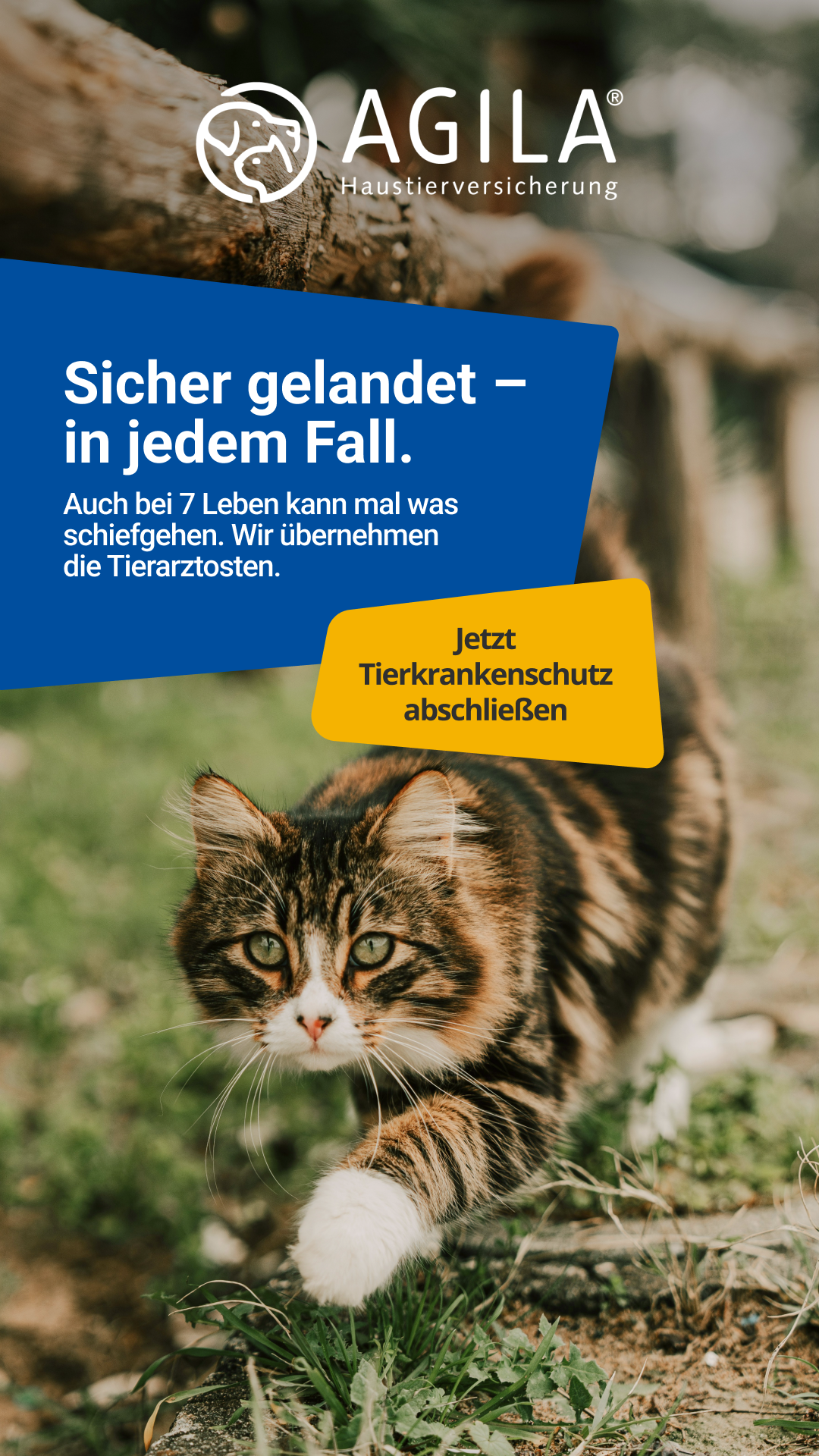 AGILA Haustierversicherung Facebook ad
