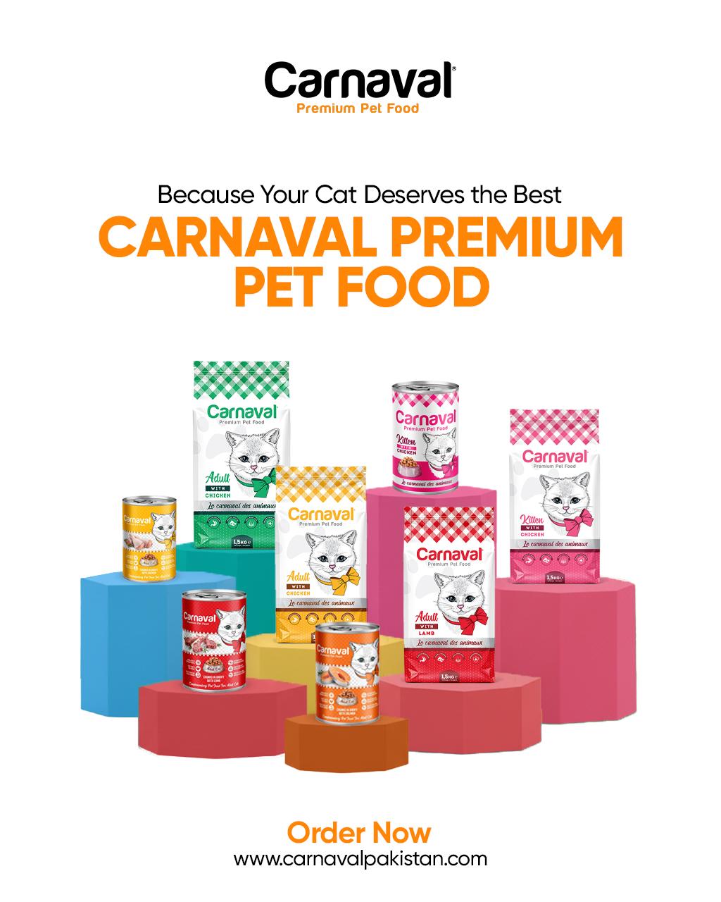 Carnaval Pakistan Facebook ad: One Brand. Many Choices.