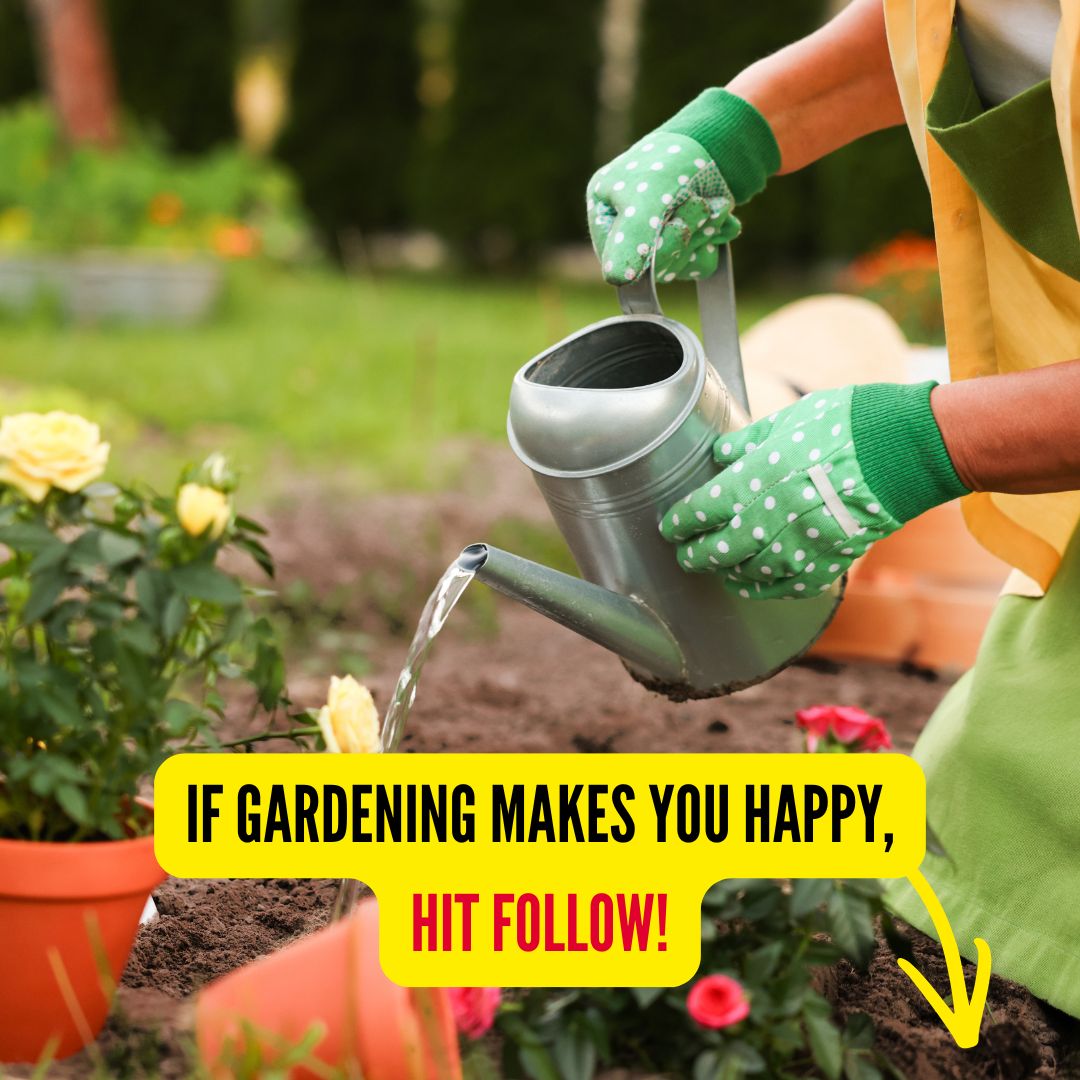 Michigan Gardener Facebook ad from Mar 26, 2026