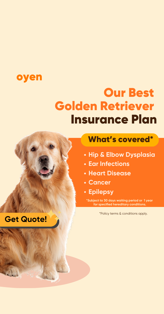 Oyen Pet Insurance & Takaful Kucing Facebook ad