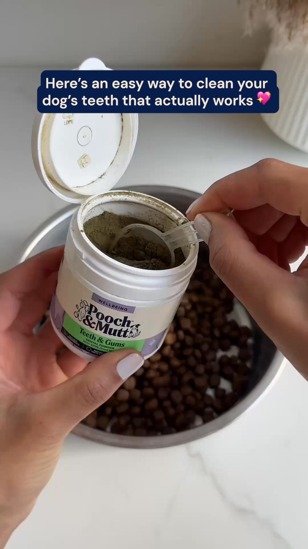 Pooch & Mutt Facebook ad from Apr 8, 2026