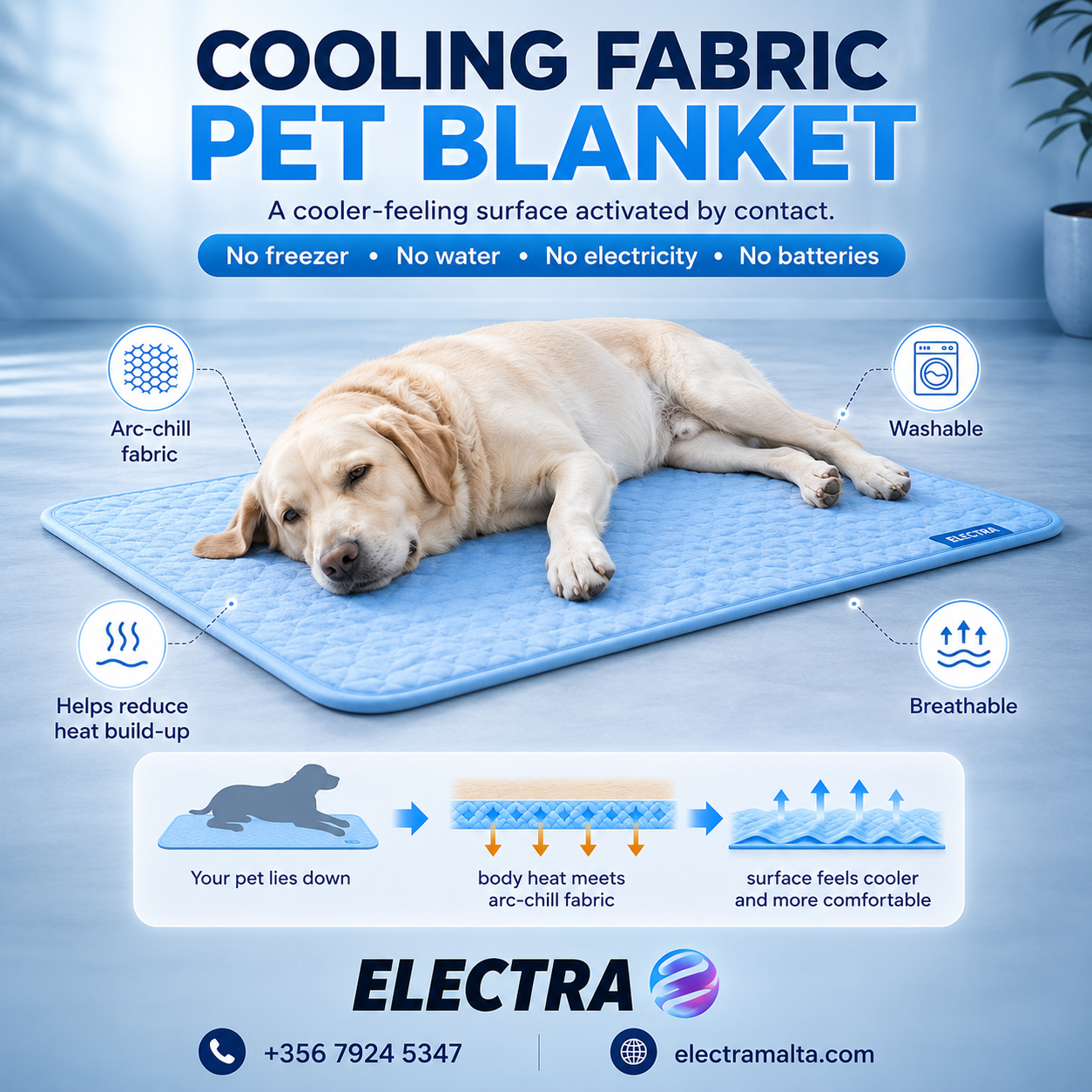 Electra Facebook ad