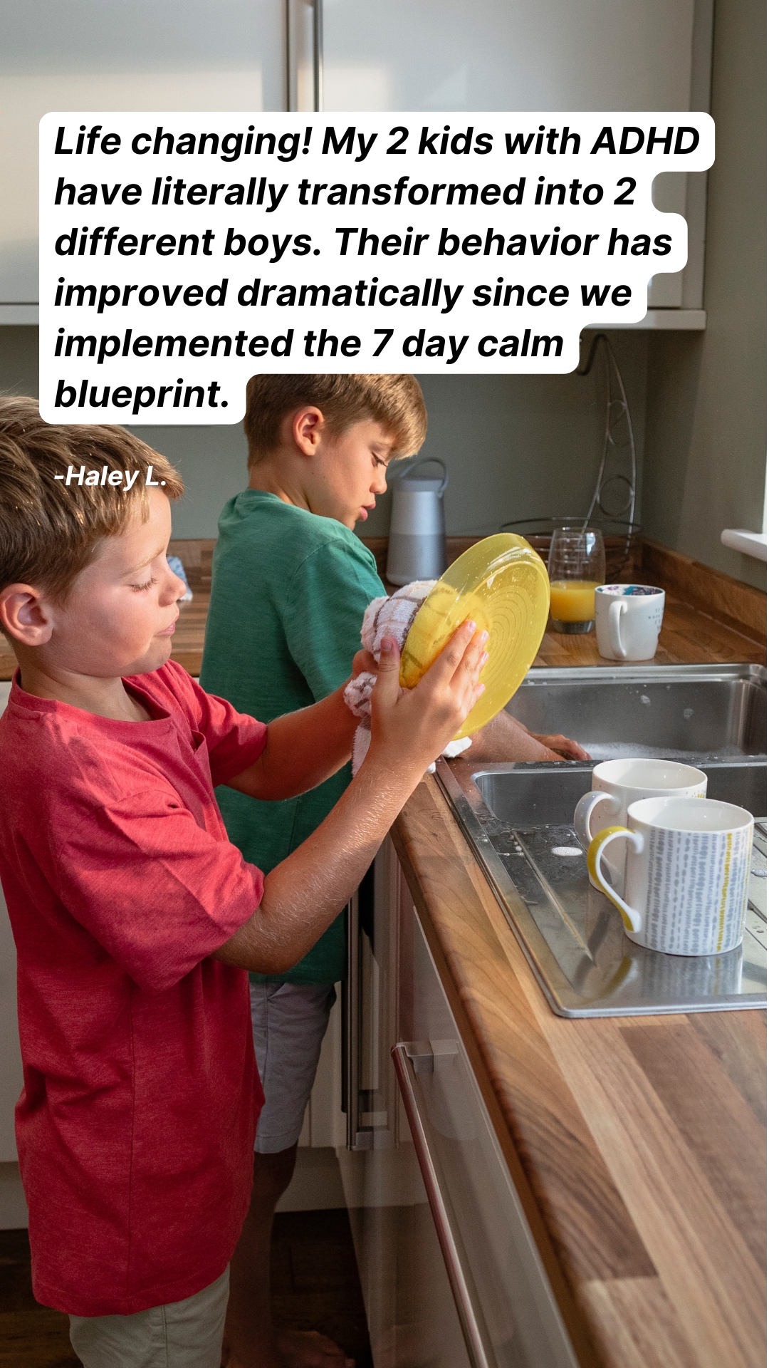 Patriene Monteiro Facebook ad: A calmer home in 7 days
