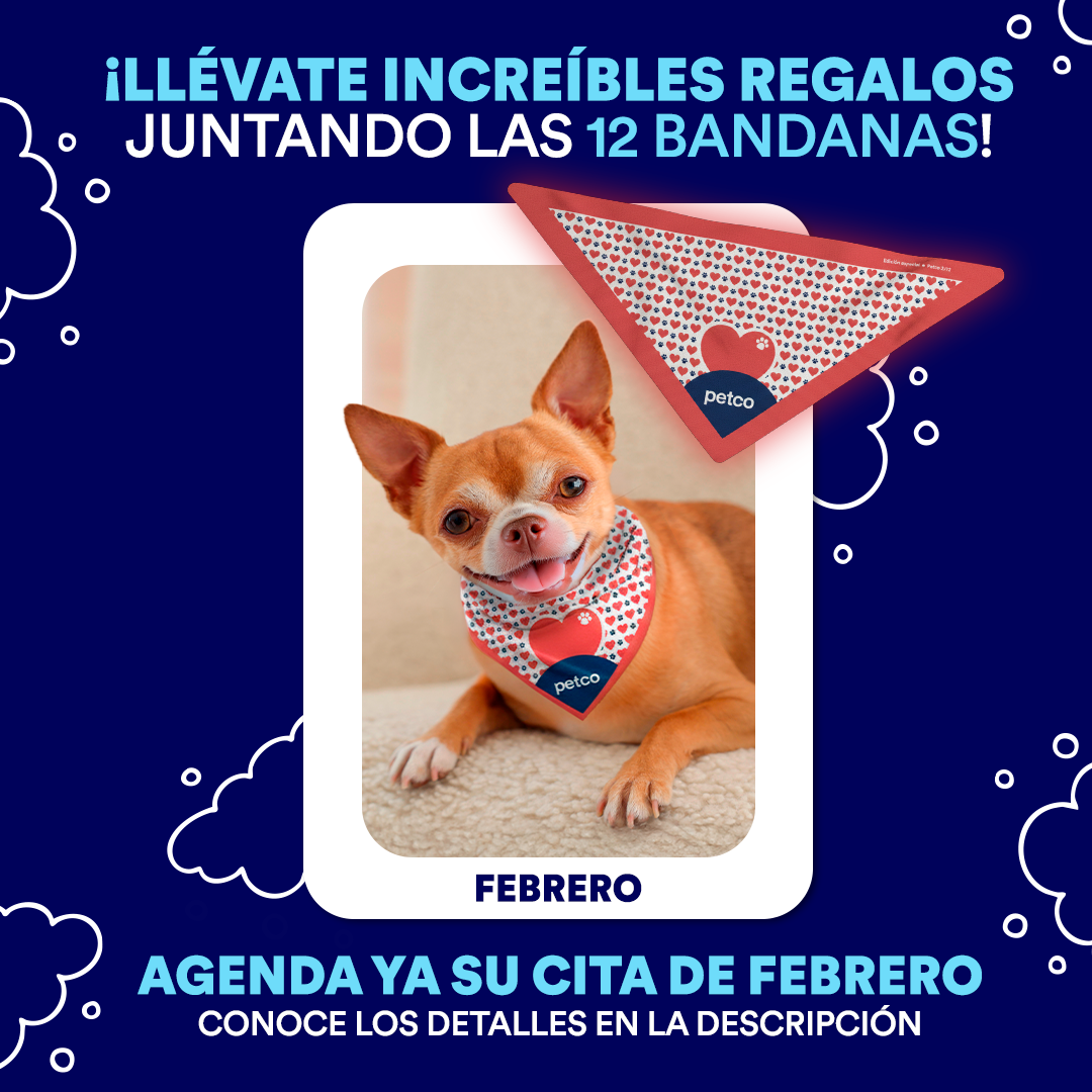 Petco México Facebook ad