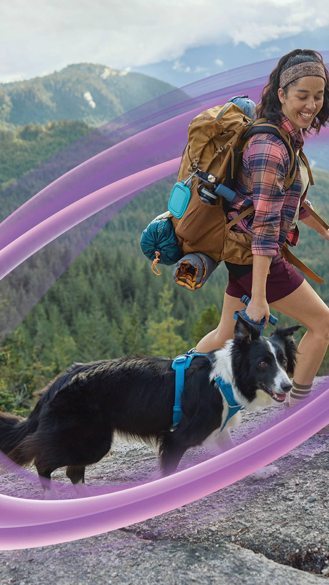 Petco Facebook ad