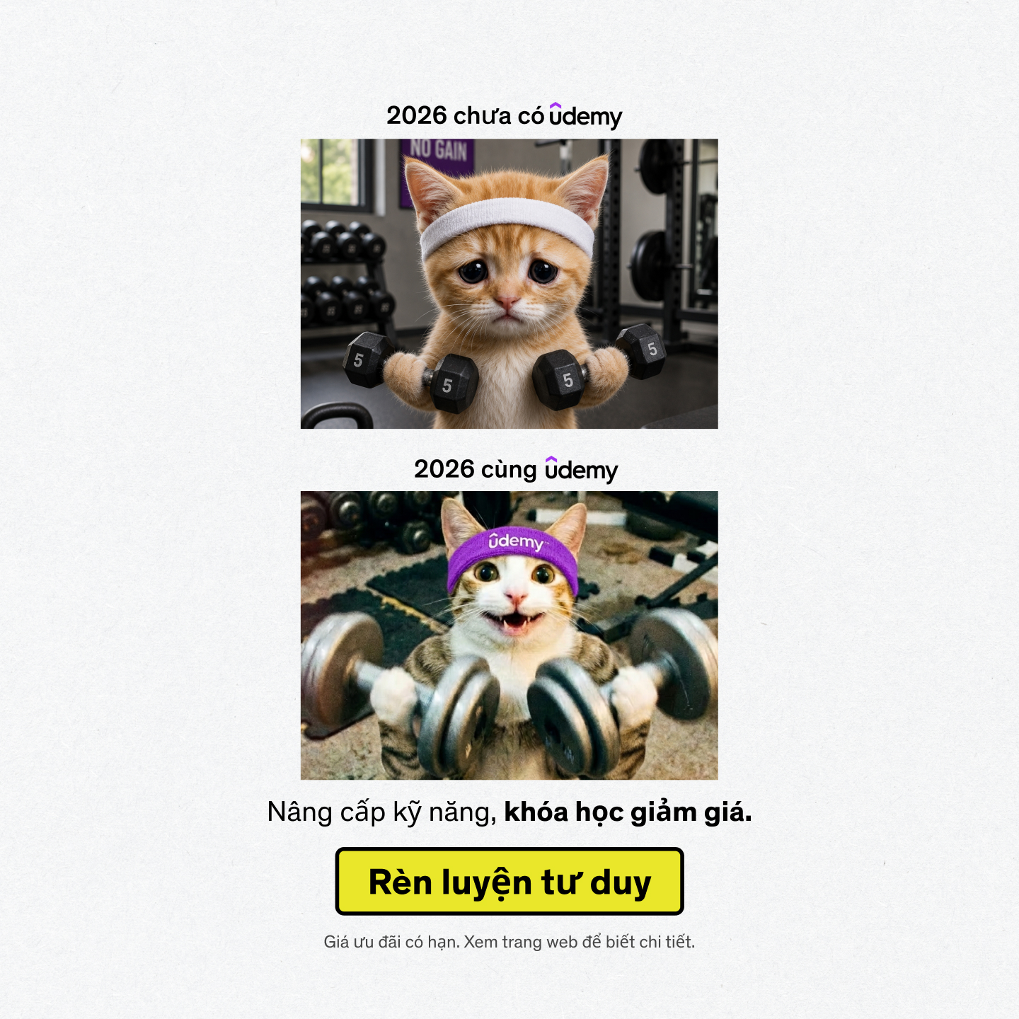 Udemy Vietnam Facebook ad
