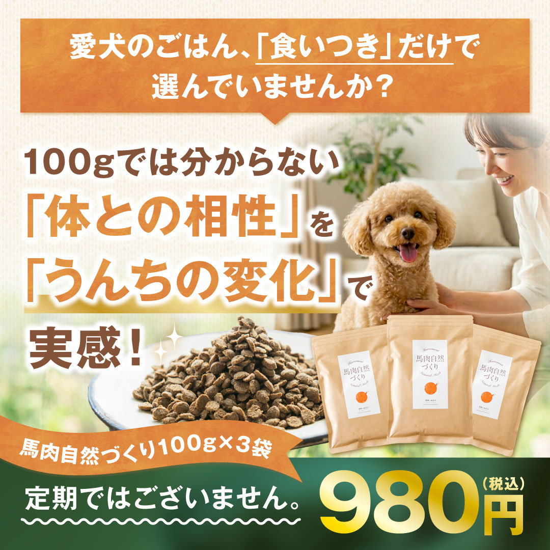 健康いぬ生活 Facebook ad