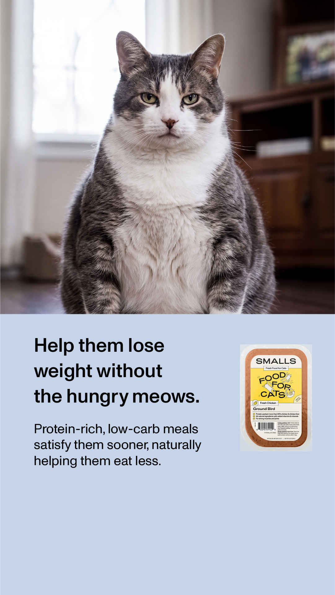 Smalls Facebook ad: Human-Grade Fresh Cat Food