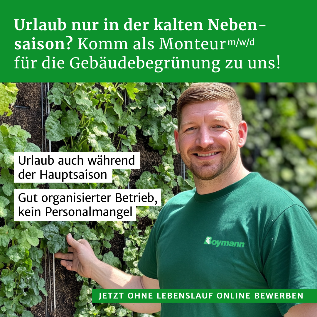 Boymann GmbH & Co. KG Facebook ad