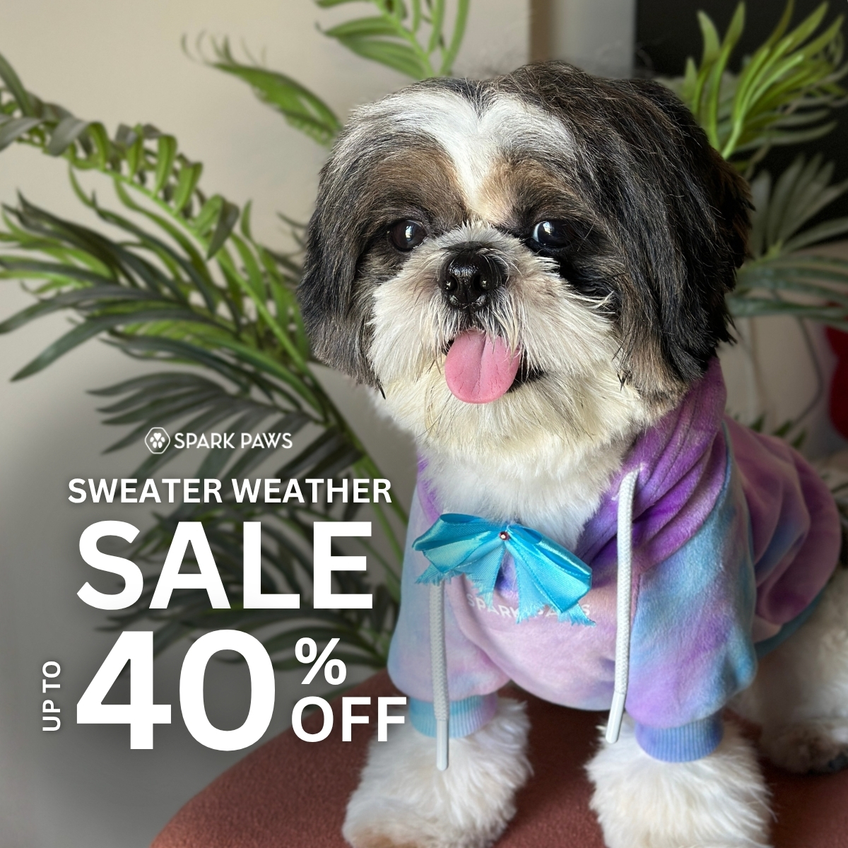 Spark Paws Facebook ad