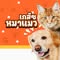 เภสัชหมาแมว - Pet Clinic