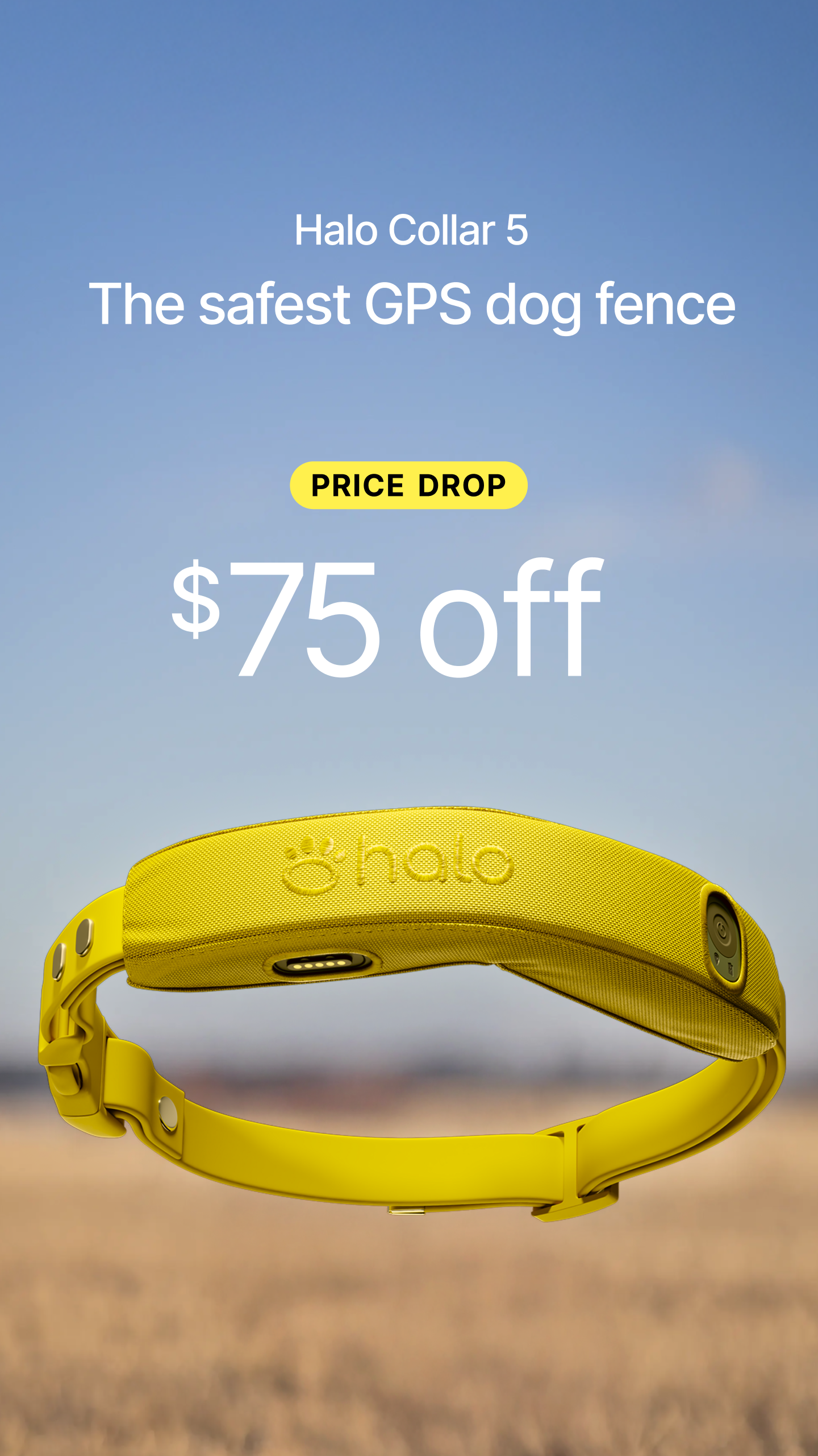 Halo Collar Facebook ad