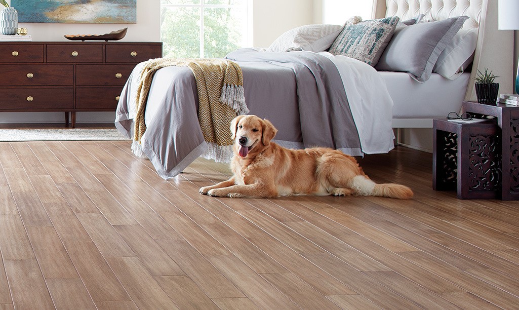 Georgia Floors Direct Facebook ad: Container & Truckload Pricing Going on Now …